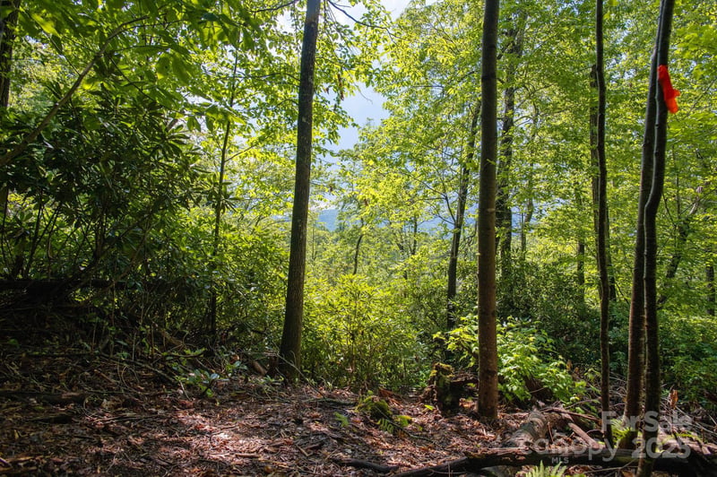 Masterpiece View Dr #2, Hendersonville, NC 28739