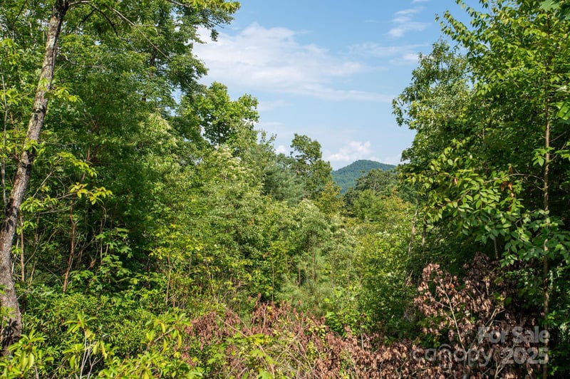 Masterpiece View Dr #6, Hendersonville, NC 28739