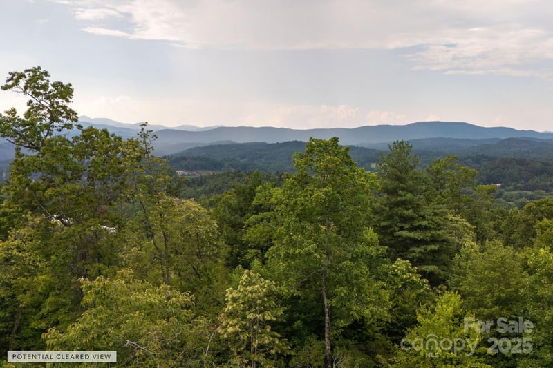 Masterpiece View Dr, Hendersonville, NC 28739