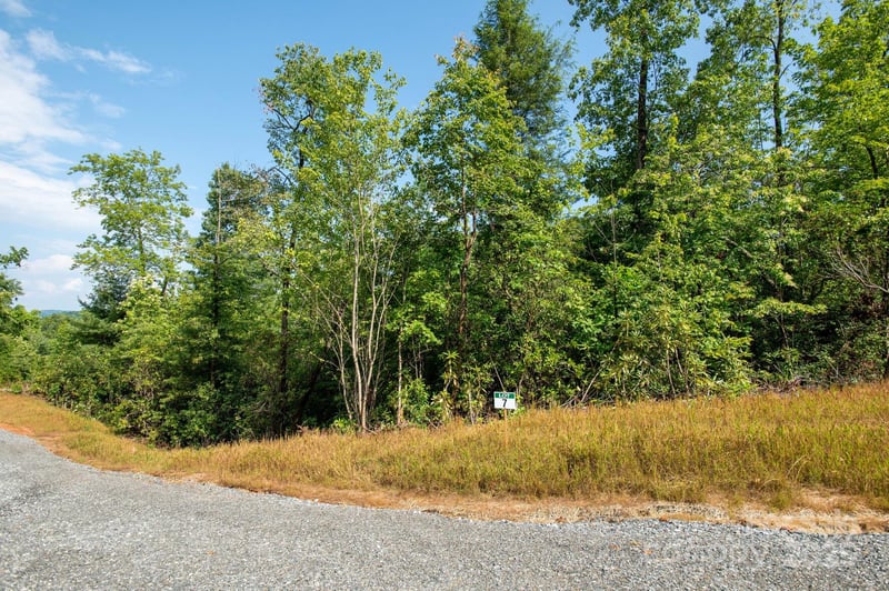 Masterpiece View Dr, Hendersonville, NC 28739