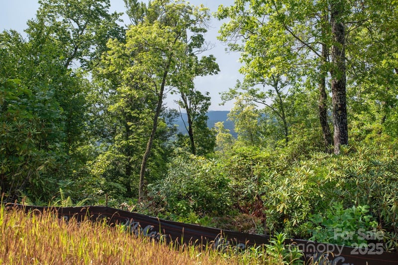 Masterpiece View Dr, Hendersonville, NC 28739