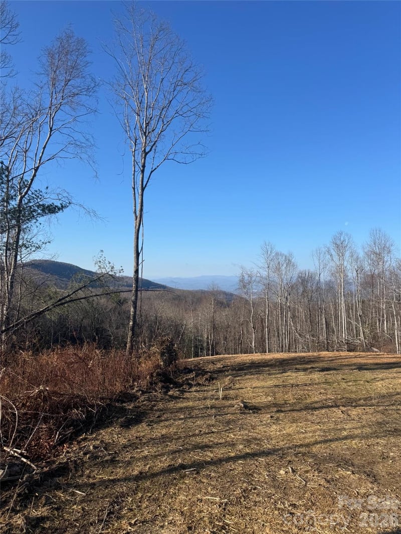 620 Dancing Bear Dr #195, Hendersonville, NC 28792