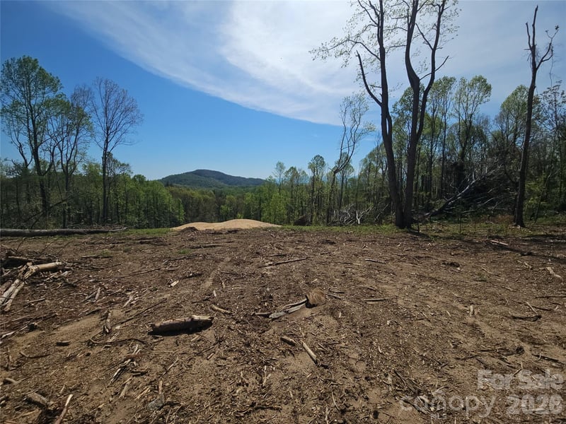 620 Dancing Bear Dr #195, Hendersonville, NC 28792