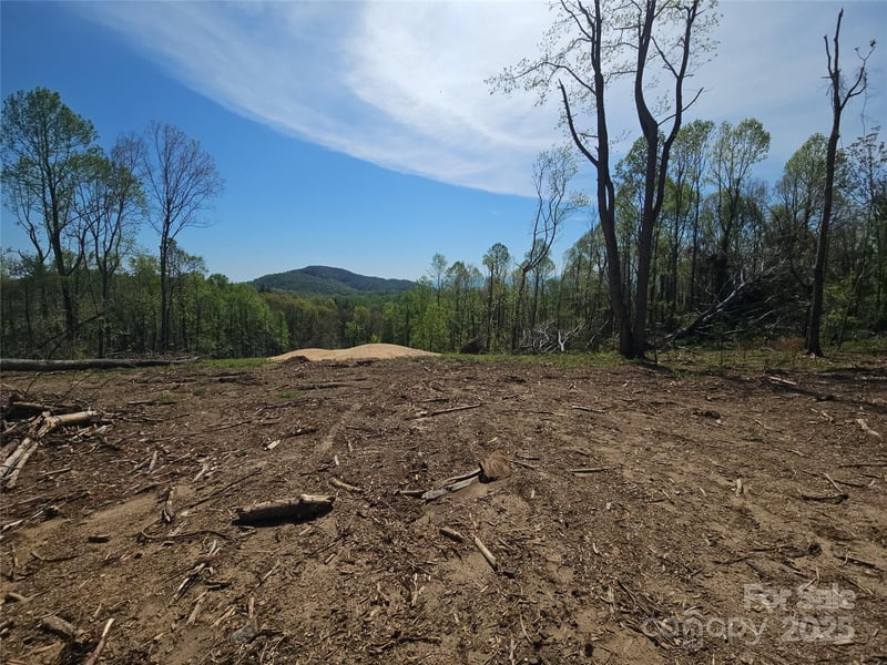 620 Dancing Bear Dr #195, Hendersonville, NC 28792