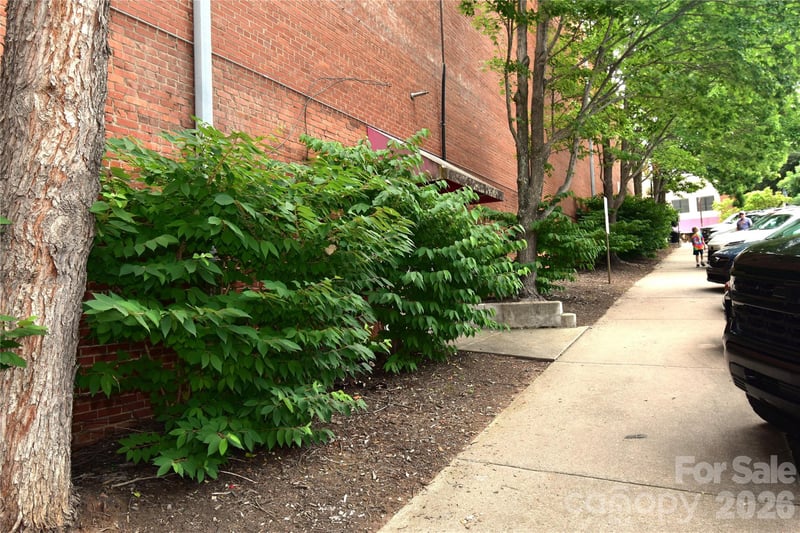 93 Main St, Waynesville, NC 28786