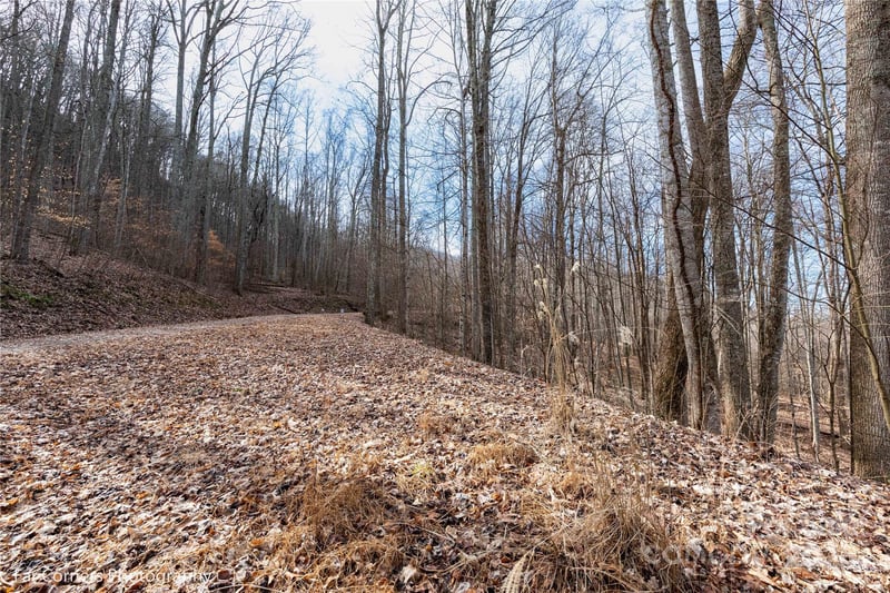 99999 Little Pond Ps #E21, Mars Hill, NC 28754