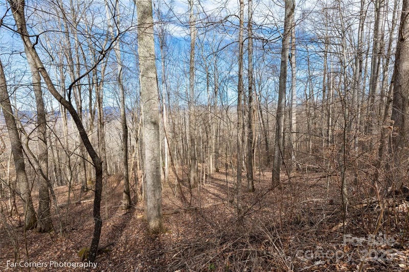 99999 Little Pond Ps #E21, Mars Hill, NC 28754
