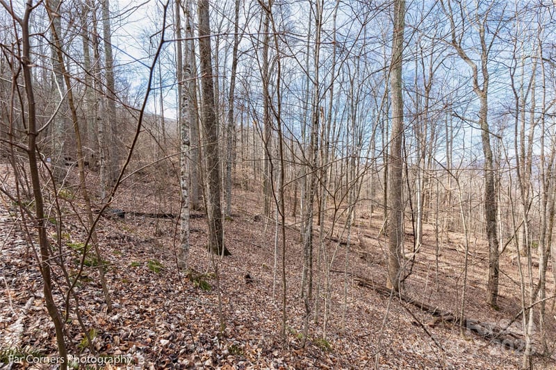 99999 Little Pond Ps #E21, Mars Hill, NC 28754