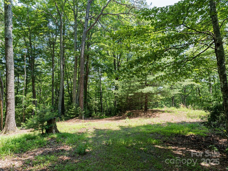 1000 Sutton Creek Rd, Pisgah Forest, NC 28768