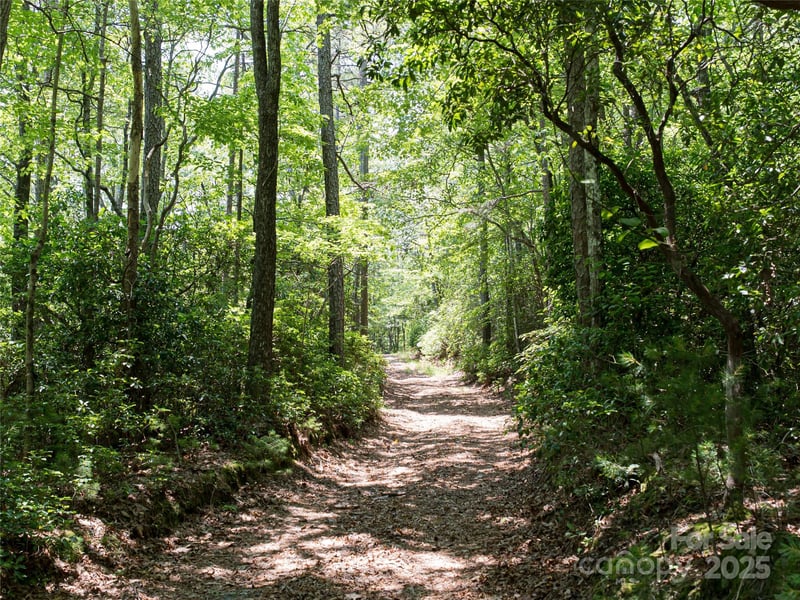 1000 Sutton Creek Rd, Pisgah Forest, NC 28768