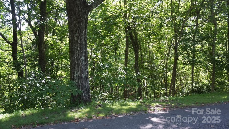 Sunset Ridge Dr Lot 11, Columbus, NC 28722