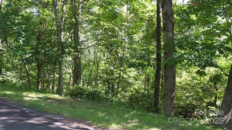 Sunset Ridge Dr Lot 11, Columbus, NC 28722