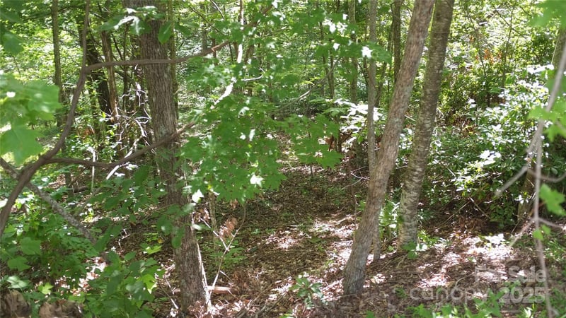 Sunset Ridge Dr Lot 11, Columbus, NC 28722