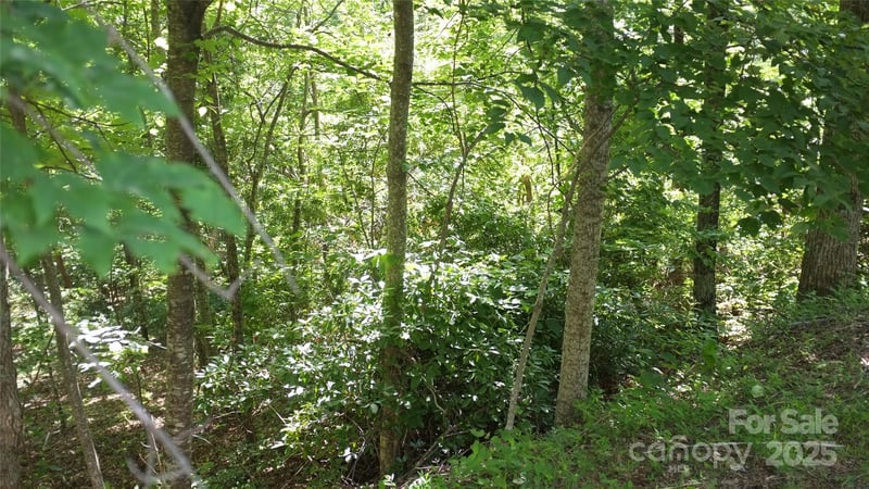 Sunset Ridge Dr Lot 11, Columbus, NC 28722