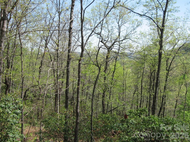 313 Line Runner Ridge Rd, Rosman, NC 28772