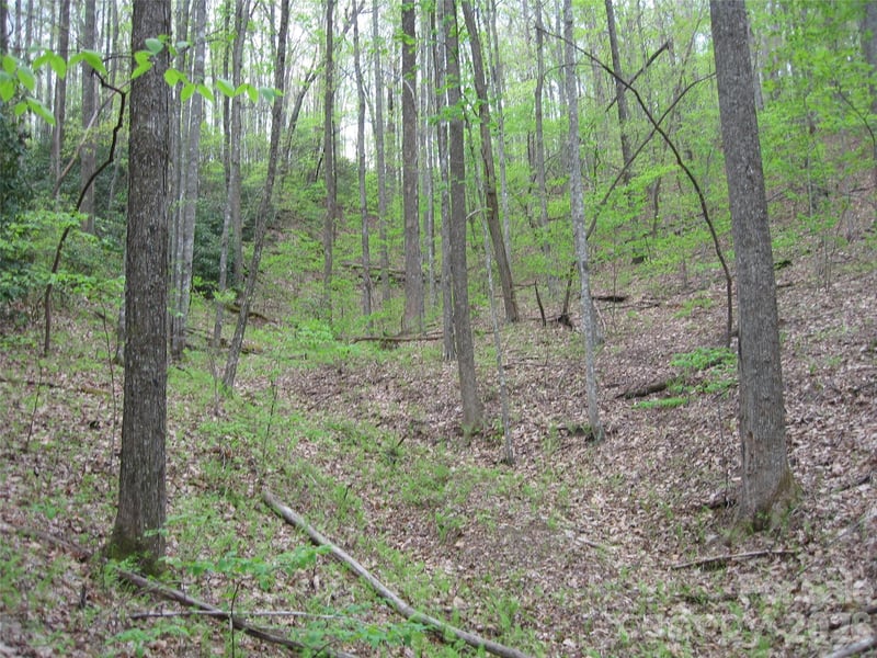 313 Line Runner Ridge Rd, Rosman, NC 28772