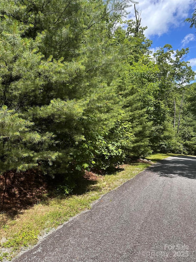 66 Boone Cove Rd, Zirconia, NC 28790