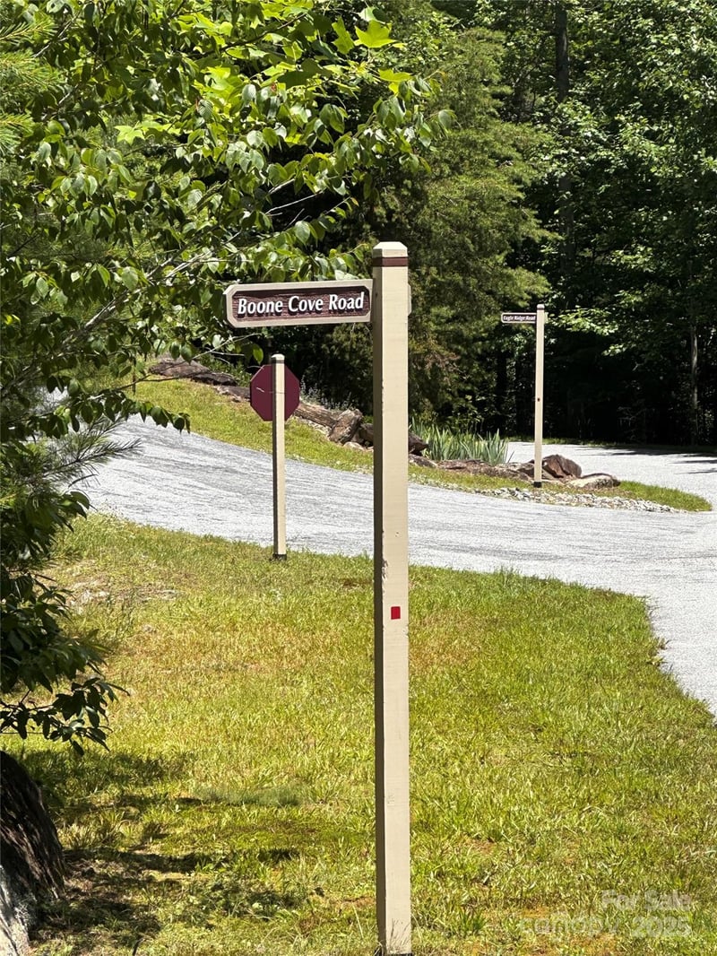 66 Boone Cove Rd, Zirconia, NC 28790