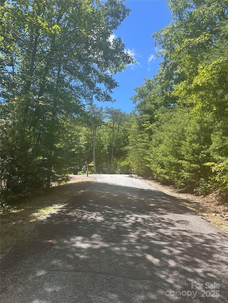 66 Boone Cove Rd, Zirconia, NC 28790