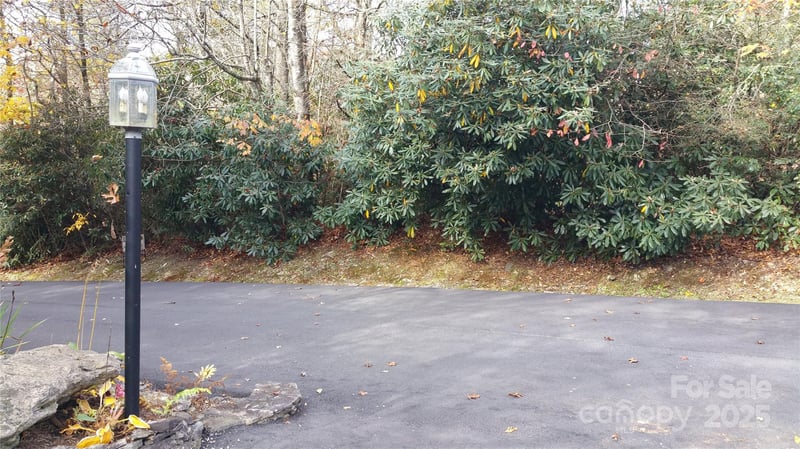 Lot 24 Red Wolf None, Blowing Rock, NC 28605