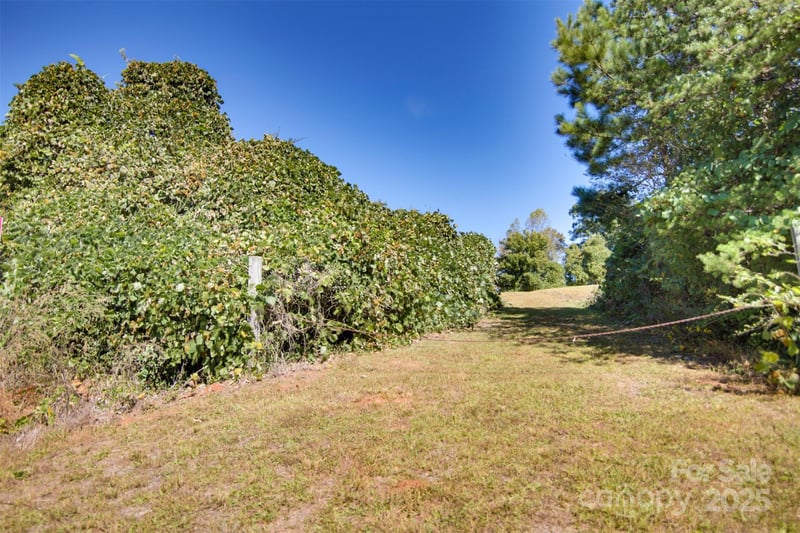 Lot 13 Buffalo Creek Rd #13, Lake Lure, NC 28746