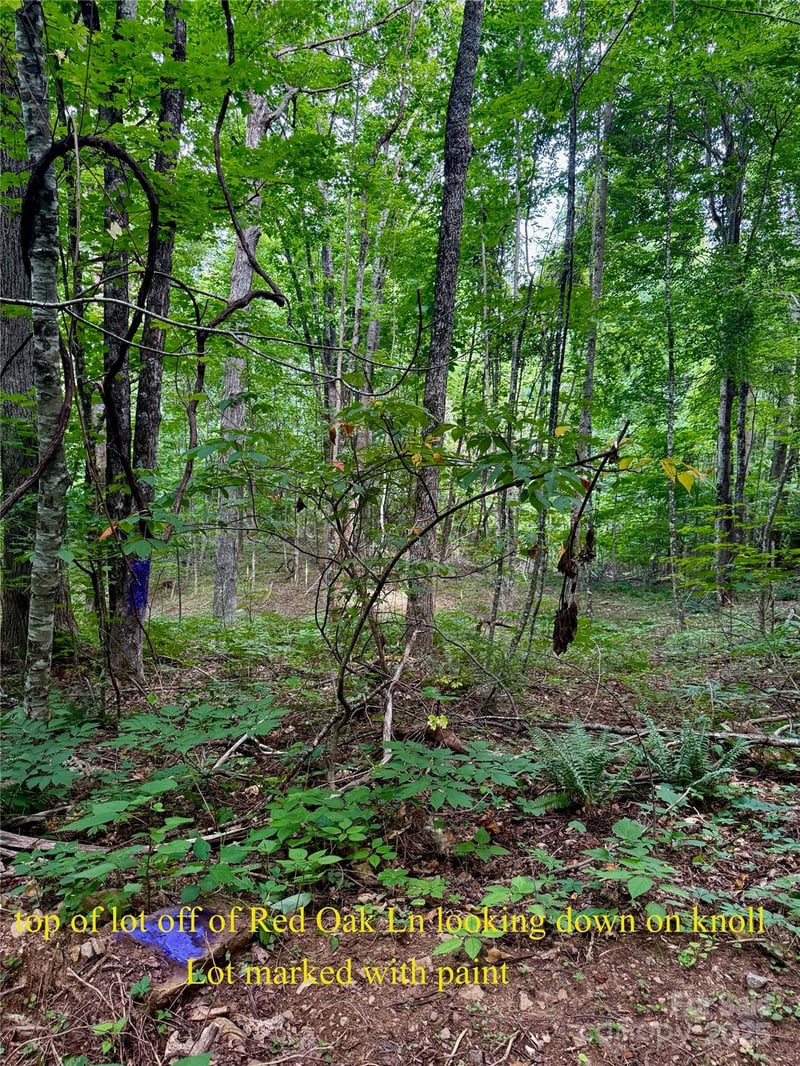 TBD Wildwood Acres Dr #16,17,23, Burnsville, NC 28714