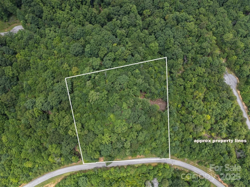 000 Deep Gap Farm Rd, Mill Spring, NC 28756