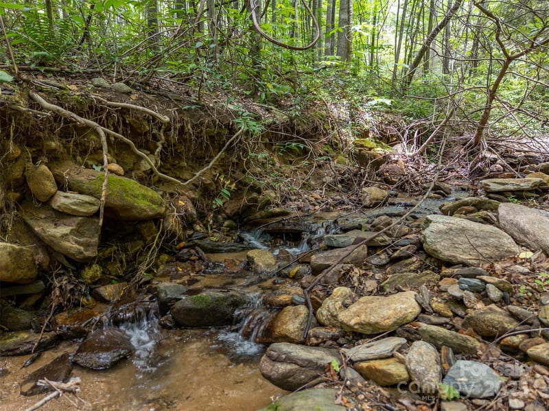 000 Deep Gap Farm Rd, Mill Spring, NC 28756
