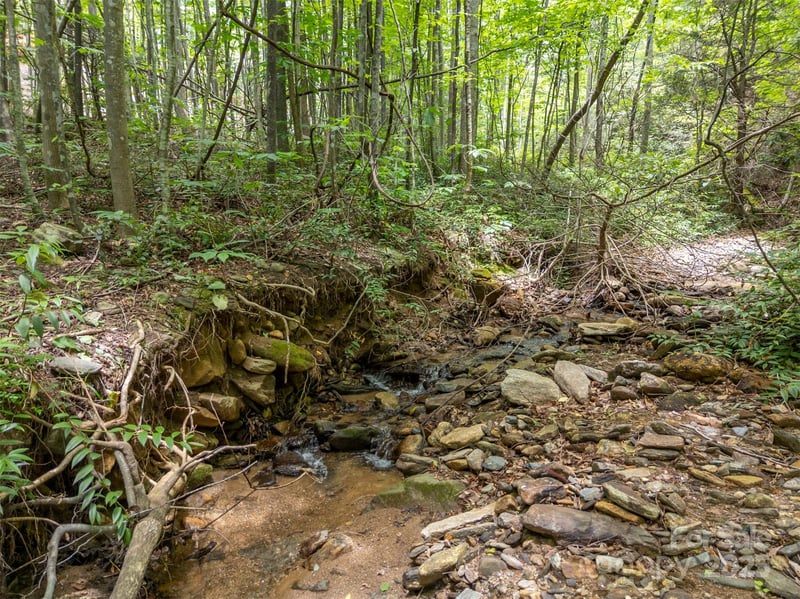 000 Deep Gap Farm Rd, Mill Spring, NC 28756