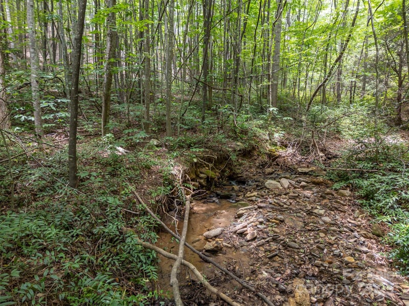 000 Deep Gap Farm Rd, Mill Spring, NC 28756