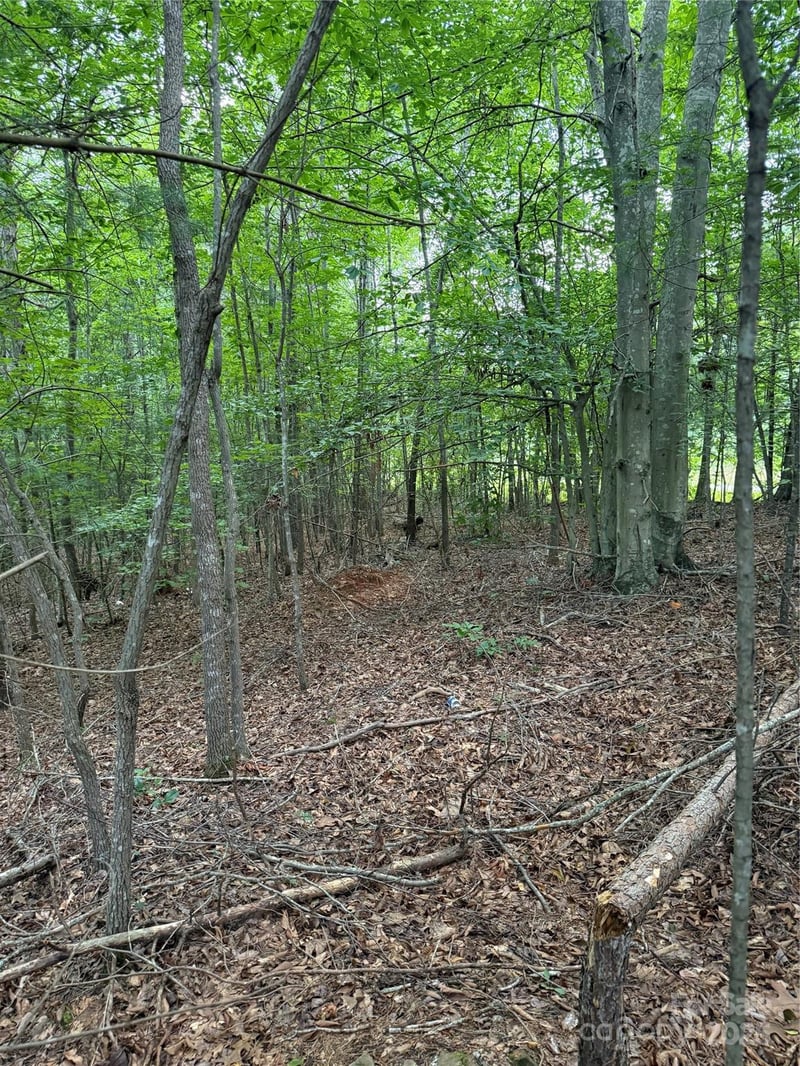 3994 Seitz Rd, Morganton, NC 28655