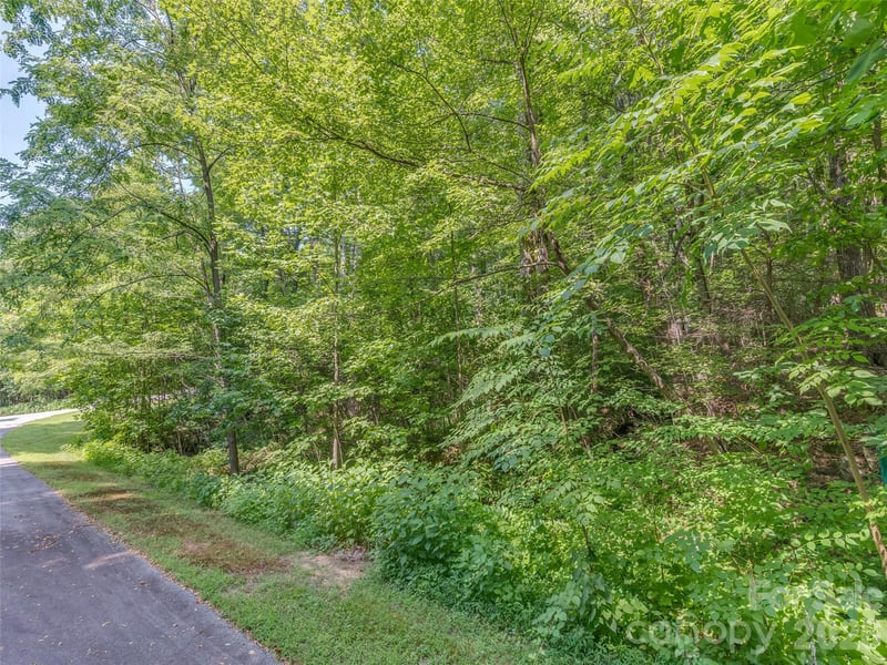 Lot 231 Chesterfield Dr #231, Mill Spring, NC 28756