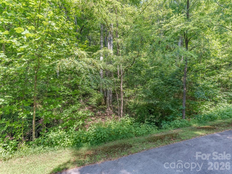 Lot 231 Chesterfield Dr #231, Mill Spring, NC 28756