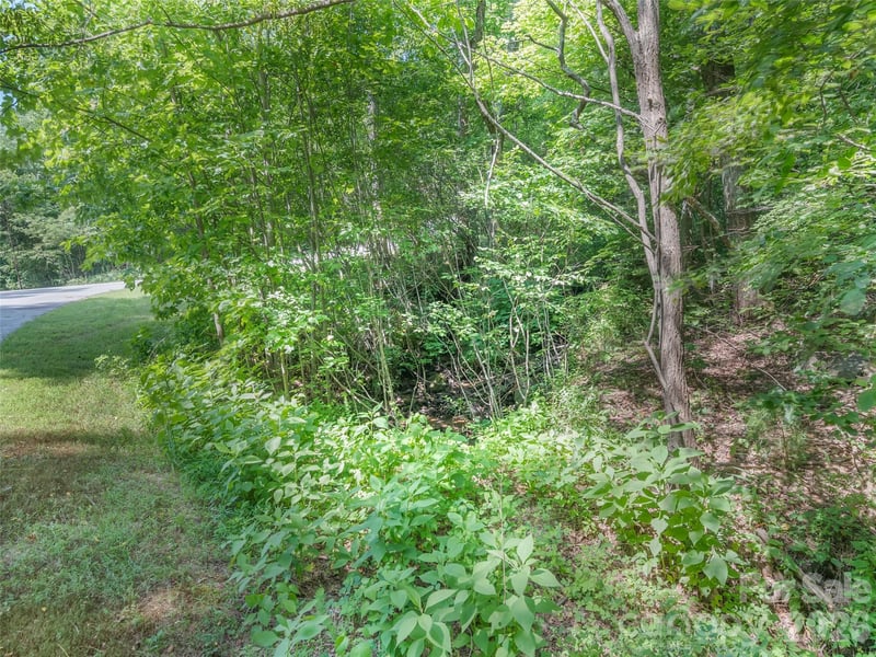 Lot 231 Chesterfield Dr #231, Mill Spring, NC 28756