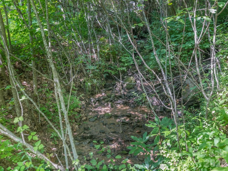 Lot 231 Chesterfield Dr #231, Mill Spring, NC 28756