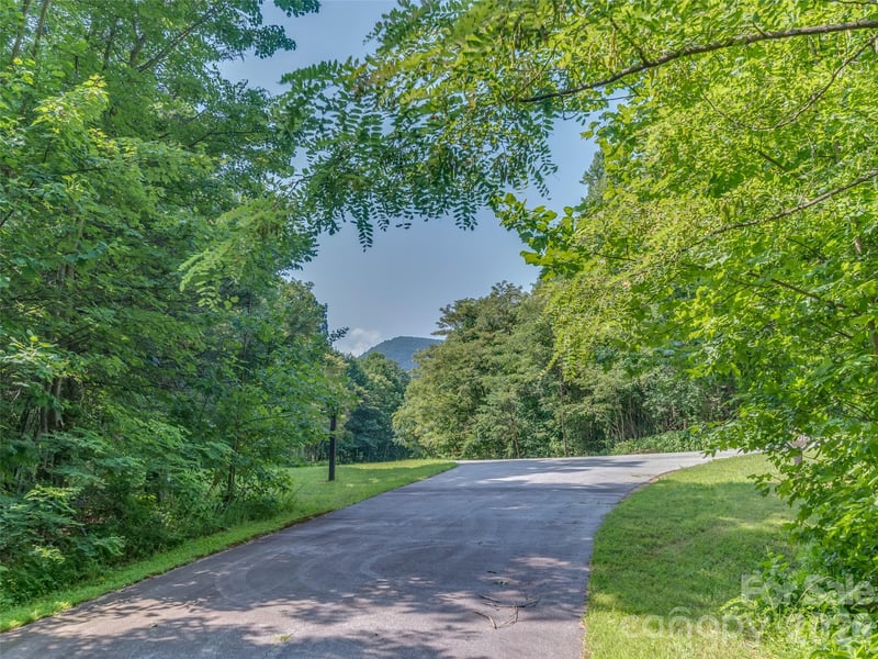 Lot 231 Chesterfield Dr #231, Mill Spring, NC 28756