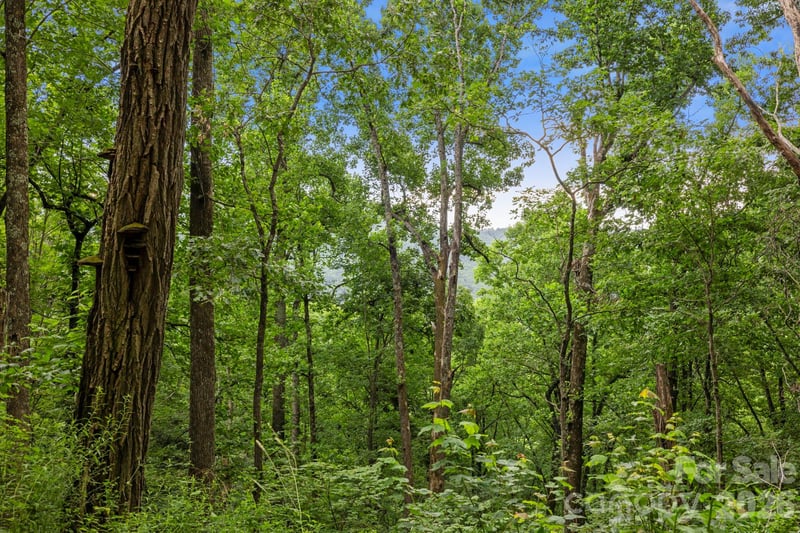 99999 Little Pisgah Rd, Gerton, NC 28735