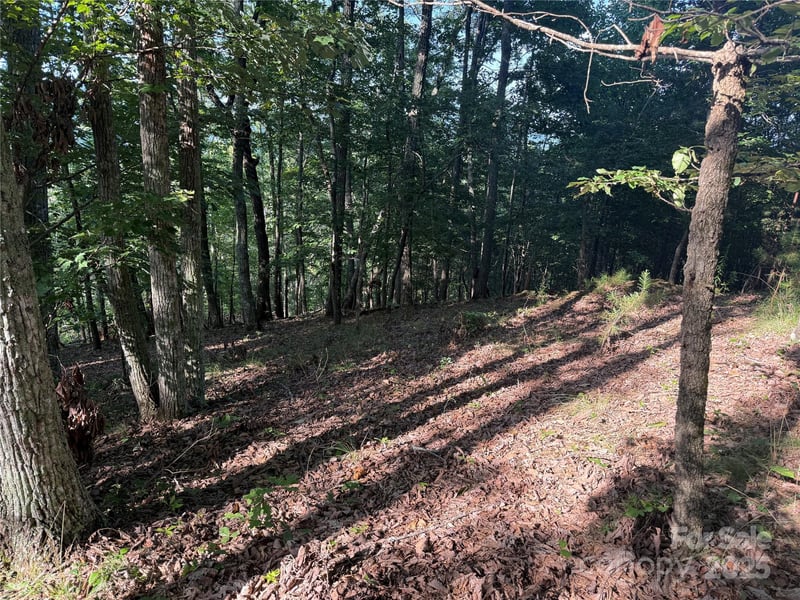 Lot 332 Scenic Vista Dr #332, Nebo, NC 28761