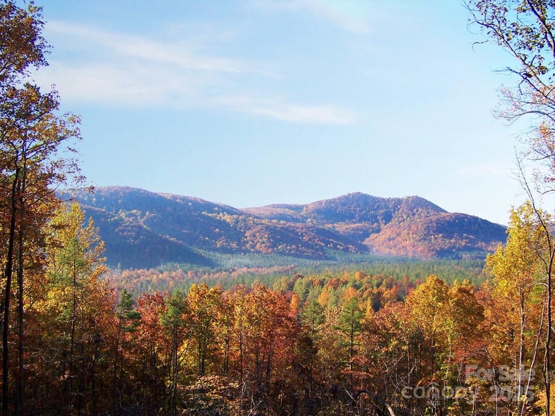 Lot 332 Scenic Vista Dr #332, Nebo, NC 28761