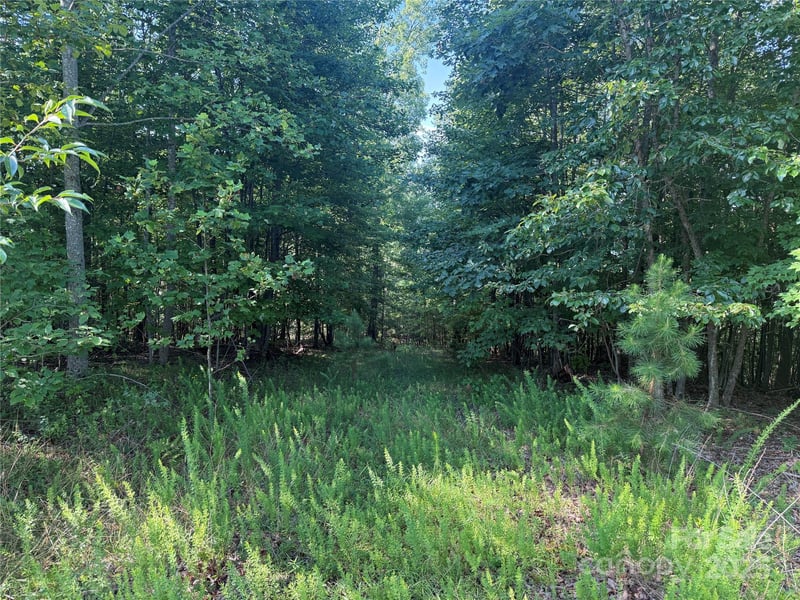 Lot 332 Scenic Vista Dr #332, Nebo, NC 28761