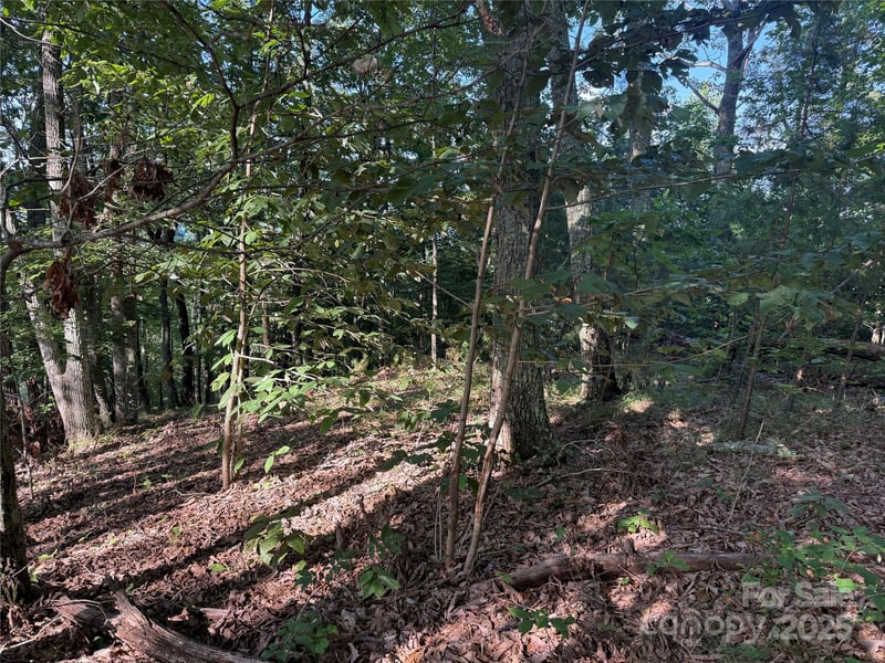 Lot 332 Scenic Vista Dr #332, Nebo, NC 28761