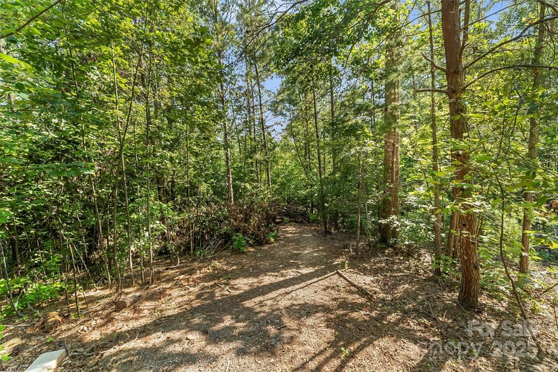 VL Horizon Dr, Nebo, NC 28761