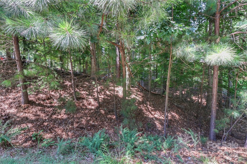 496 Kenway Loop, Mooresville, NC 28117