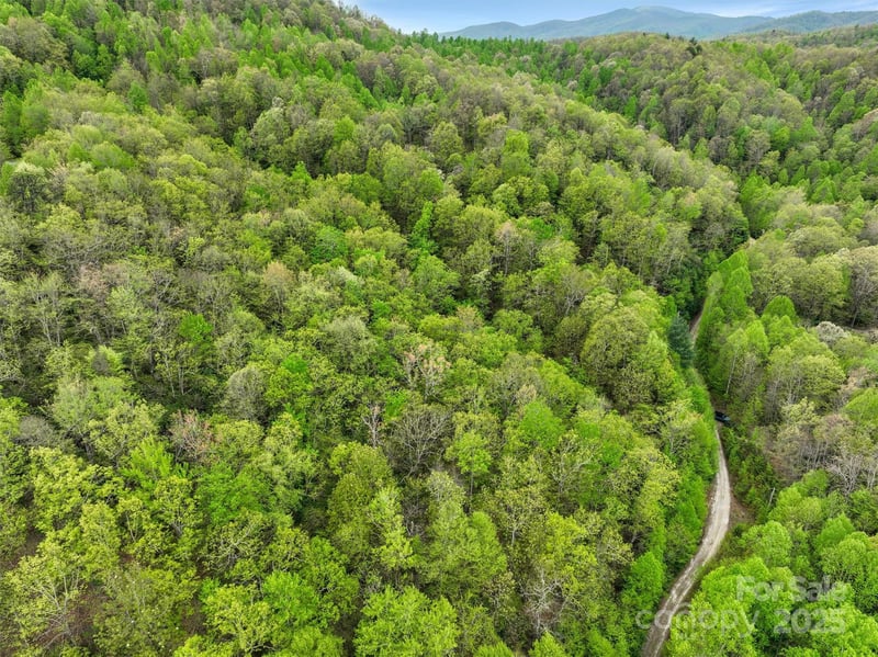 Bird Creek Estates Rd, Black Mountain, NC 28711