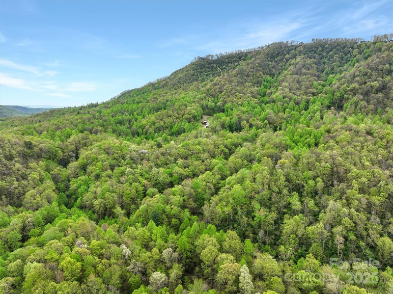 Bird Creek Estates Rd, Black Mountain, NC 28711
