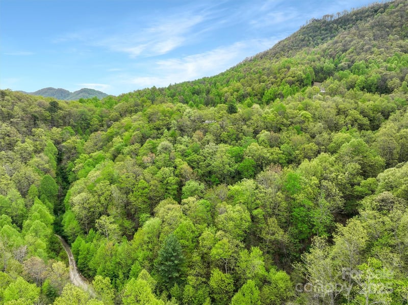 Bird Creek Estates Rd, Black Mountain, NC 28711