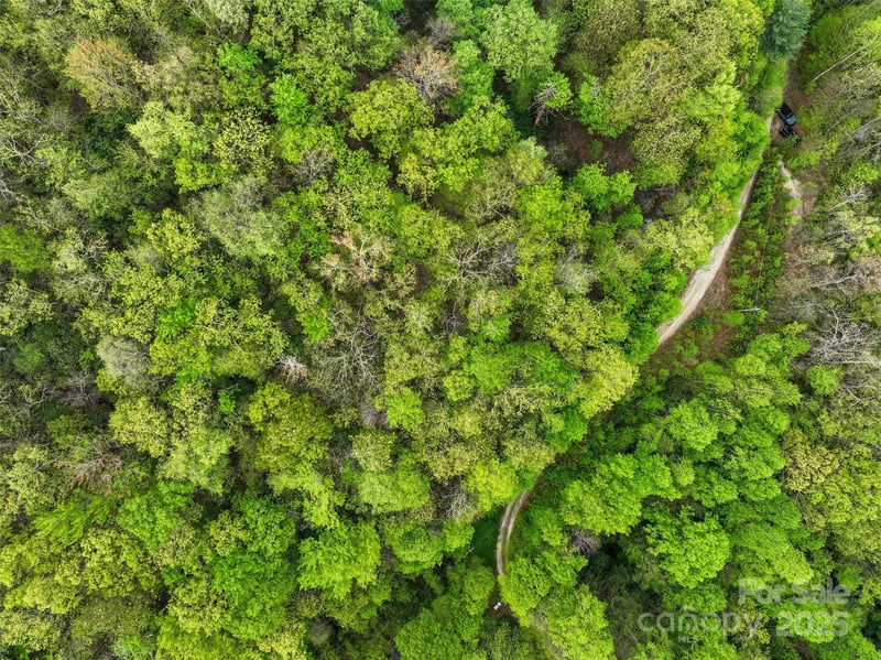 Bird Creek Estates Rd, Black Mountain, NC 28711