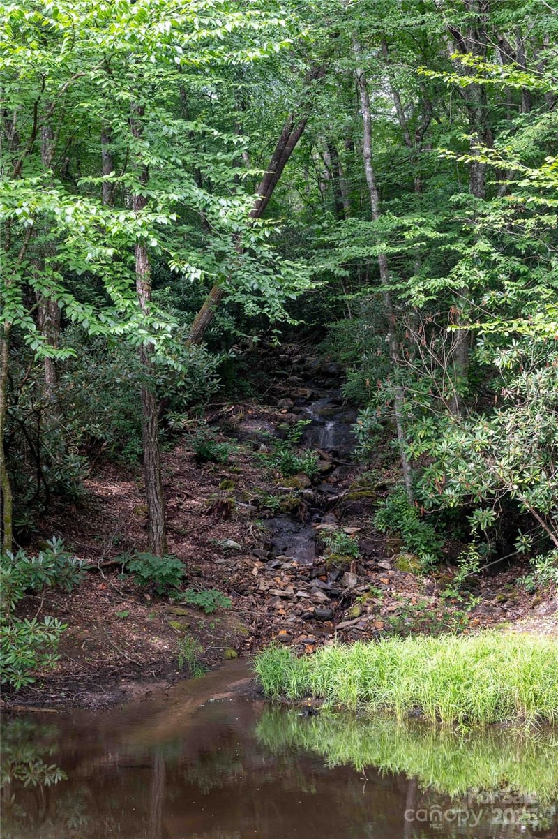 238 Falling Water Dr, Burnsville, NC 28714