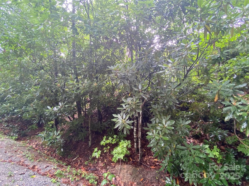 00000 Viking Trl, Hendersonville, NC 28739