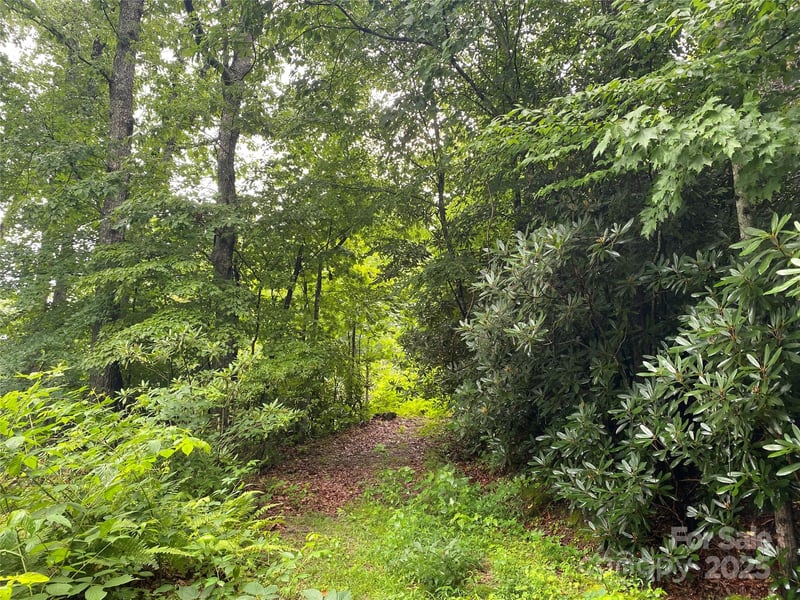 00000 Viking Trl, Hendersonville, NC 28739